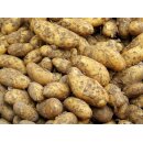Annabelle Kartoffeln aus Bayern – festkochend,...