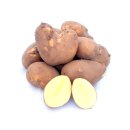 Kartoffel Belmonda halbmehlige vorwiegend festkochende Kartoffeln frische Ernte