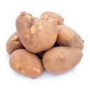 Kartoffel Belmonda halbmehlige vorwiegend festkochende Kartoffeln frische Ernte 2 KG