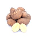 Kartoffel Belmonda halbmehlige vorwiegend festkochende Kartoffeln frische Ernte 10 KG