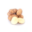 Kartoffel Speisekartoffeln halbmehlig neue Ernte 2021 - Kartoffeln Berber - vorwiegend festkochend