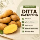Kartoffeln Ditta festkochend - Deutsche Speisekartoffel neue Ernte 2026