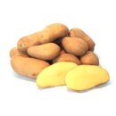 Kartoffeln Ditta festkochend - Deutsche Speisekartoffel 8 KG neue Ernte 2023
