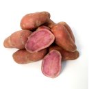 Kartoffel Emmalie halbmehlig (vorw. festkochend) rote Kartoffeln 1-25 Kg deutsche Speisekartoffeln 5 KG