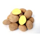 Kartoffel Afra mehlig Deutsche Speisekartoffeln 1-25 KG