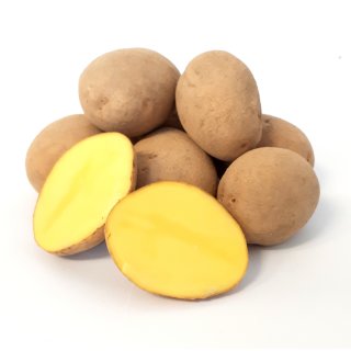 Kartoffel Afra mehlig Deutsche Speisekartoffeln 2 KG Ernte 2023