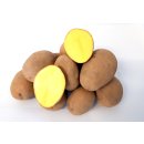 Kartoffel Afra mehlig Deutsche Speisekartoffeln 5 KG Ernte 2023