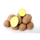 Kartoffel Afra mehlig Deutsche Speisekartoffeln 10 KG Ernte 2023