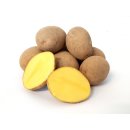 Kartoffel Afra mehlig Deutsche Speisekartoffeln 25 KG Ernte 2023