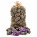 Kartoffel Violetta festkochend violette Kartoffel Ernte 2026