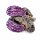 Kartoffel Violetta festkochend violette Kartoffel Ernte 2026