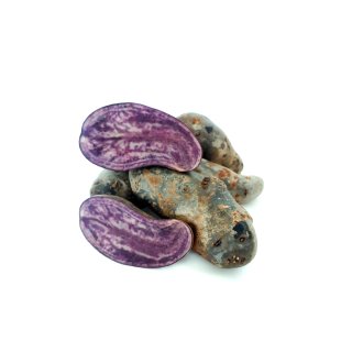 Kartoffel Violetta festkochend violette Kartoffel 10 KG Ernte 2023