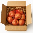 Äpfel Fuji vom Bodensee süßer Apfel