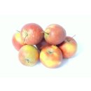 Äpfel Rubinette sehr ähnlich wie Cox Orange vom...