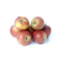 Äpfel Rubinette sehr ähnlich wie Cox Orange vom Bodensee süß- säuerlicher Apfel