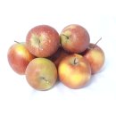 Äpfel Rubinette sehr ähnlich wie Cox Orange vom Bodensee süß- säuerlicher Apfel 8 KG