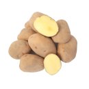 Kartoffel Belana festkochende Deutsche Speisekartoffeln 1 KG neue Ernte 2023