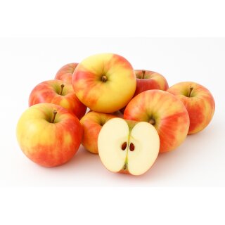 Äpfel Elstar vom Bodensee fein-säuerlicher Apfel Ernte 2026