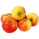 Äpfel Elstar vom Bodensee fein-säuerlicher Apfel Ernte 2026