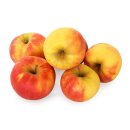 Äpfel Elstar vom Bodensee fein-säuerlicher Apfel Ernte 2026