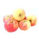Äpfel Elstar vom Bodensee fein-säuerlicher Apfel Ernte 2023