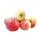 Äpfel Elstar vom Bodensee fein-säuerlicher Apfel Ernte 2023