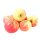 Äpfel Elstar vom Bodensee fein-säuerlicher Apfel 1 KG Ernte 2023