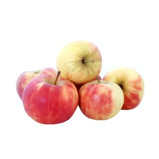 Äpfel Elstar vom Bodensee fein-säuerlicher Apfel 1-10 KG 5 KG
