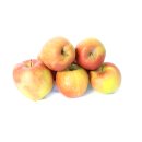 Äpfel Braeburn vom Bodensee süß-säuerlicher Apfel 1-10 KG 1 KG