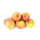 Äpfel Braeburn vom Bodensee süß-säuerlicher Apfel 1-10 KG 1 KG