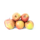 Äpfel Braeburn vom Bodensee süß-säuerlicher Apfel 1-10 KG 2 KG