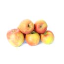 Äpfel Braeburn vom Bodensee süß-säuerlicher Apfel 1-10 KG 2 KG