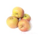 Äpfel Boskoop Boskop vom Bodensee säuerlicher Apfel 5 KG