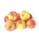 Äpfel Topaz vom Bodensee süß-säuerlicher Apfel 1-10 KG 1 KG