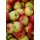 Äpfel Topaz vom Bodensee süß-säuerlicher Apfel 1-10 KG 2 KG