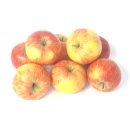 Äpfel Topaz vom Bodensee süß-säuerlicher Apfel 1-10 KG 5 KG