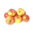 Äpfel Topaz vom Bodensee süß-säuerlicher Apfel 1-10 KG 8 KG