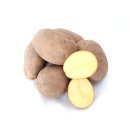 Kartoffel Lilly mehlig deutsche Speisekartoffeln 1 KG