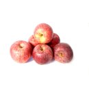Äpfel Gala vom Bodensee süßer Apfel 1-10 KG 2 KG