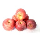Äpfel Gala vom Bodensee süßer Apfel 1-10 KG 5 KG