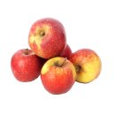 Äpfel Wellant Allergikerapfel vom Bodensee...