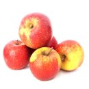 Äpfel Wellant Allergikerapfel aus Deutschland/Bodensee süßer Apfel 1 KG