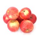 Äpfel Pinova aus Deutschland/Bodensee süß-säuerlicher Apfel saftig fest 1-10 KG 2 KG 