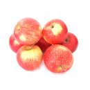 Äpfel Pinova aus Deutschland/Bodensee süß-säuerlicher Apfel saftig fest 5 KG
