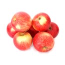 Äpfel Pinova aus Deutschland/Bodensee süß-säuerlicher Apfel saftig fest 10 KG