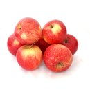 Äpfel Pinova aus Deutschland/Bodensee süß-säuerlicher Apfel saftig fest 10 KG
