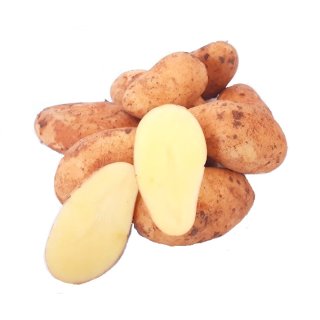 Frische Speisekartoffeln Ernte 2023  festkochende Kartoffel Annabelle