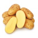 Annabelle Kartoffeln – festkochend · neue Ernte 2026 aus der Pfalz 1–25 kg