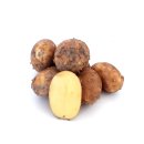Frische Kartoffeln Finka - Ernte 2023 - halbmehlige deutsche Speisekartoffel - vorwiegend festkochend