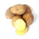 Kartoffel Sunita mehlig deutsche Speisekartoffeln 1-25 KG - Ernte 2022
